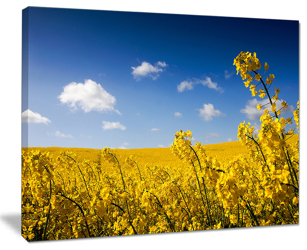 "Yellow Canola Field" Landscape Photography Canvas Print, 20"x12"