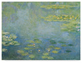 Claude Monet 'Waterlilies' Canvas Art, 18x24