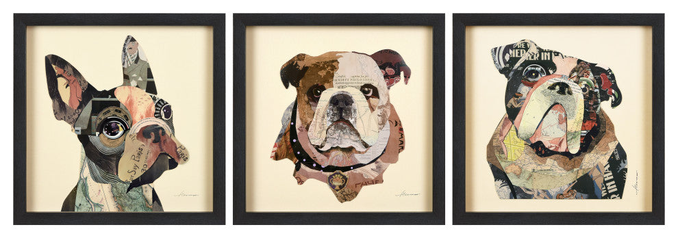 Bulldogs Close Up Dimensional Collage Wall Art Framed Under Glass