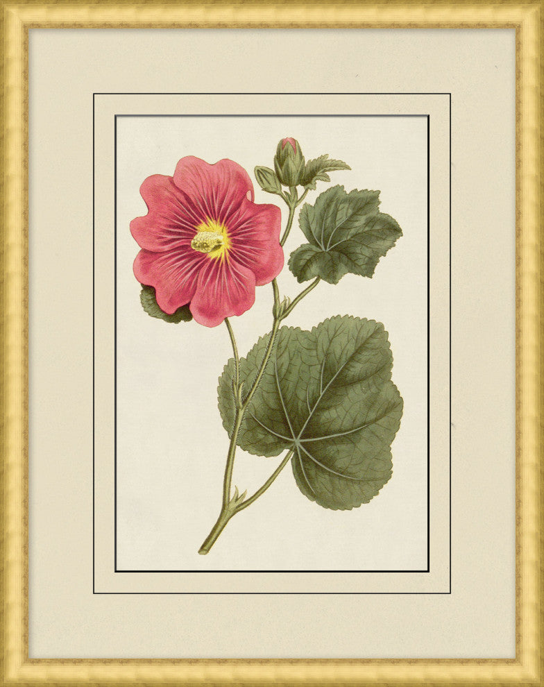 Fresh Flowers 8, Giclee Reproduction Artwork