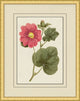 Fresh Flowers 8, Giclee Reproduction Artwork
