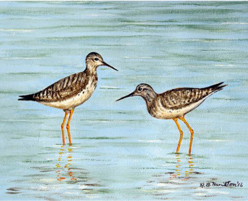 Betsy Drake Yellow Legs Avocets 30 X 50 Inch Comfort Floor Mat