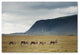 Philippe Sainte-Laudy 'Our World' Canvas Art