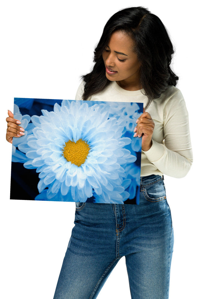 Blue Tinted Chrysanthemums Floral Nature Photo Loose Wall Art Print, 11" X 14"
