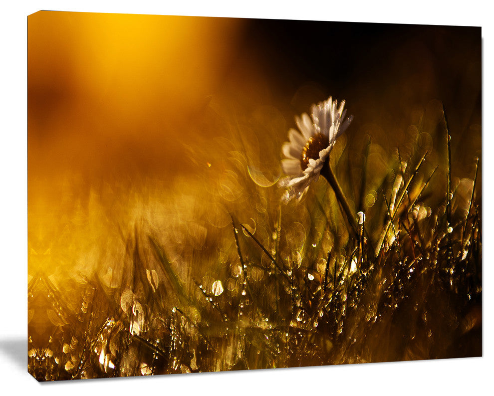 Vintage Wild Flower In Sunset, Large Floral Canvas Art Print, 20"x12"