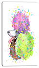 Cute Brown Dog with Color Spheres, Contemporary Animal Art Canvas, 16"x32"