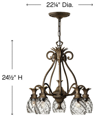 Hinkley Lighting H4885 Plantation 5 Light 1 Tier Chandelier - Pearl Bronze
