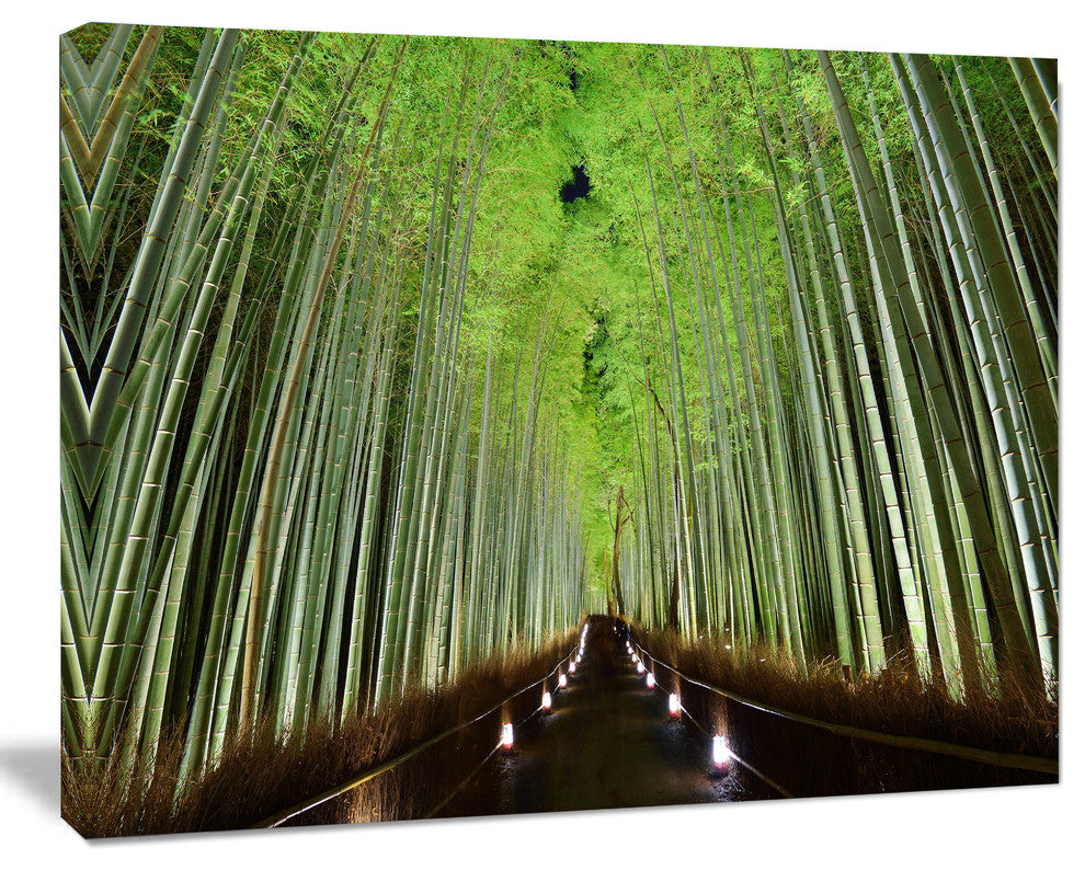 Beautiful Bamboo Forest Panorama, Landscape Canvas Art Print, 40"x30"