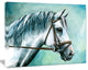 Gray Horse on Blue Background, Animal Canvas Art Print, 20"x12"