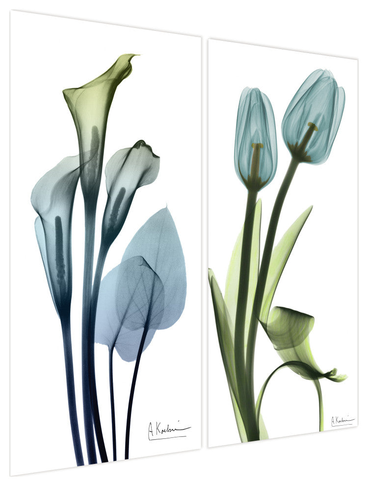 Lily and Blue Tulips Frameless Free Floating Tempered Glass Graphic Wall Art Set