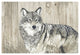"Wolf in Grass on Barn Board" Digital Paper Print by Jacquie Vaux, 20"x14"