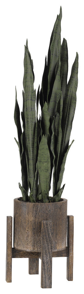 Mother, Law Tongue Plant, Round Wood Planter With Stand