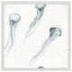 "Racing Jellies" Framed Painting Print, 32x32