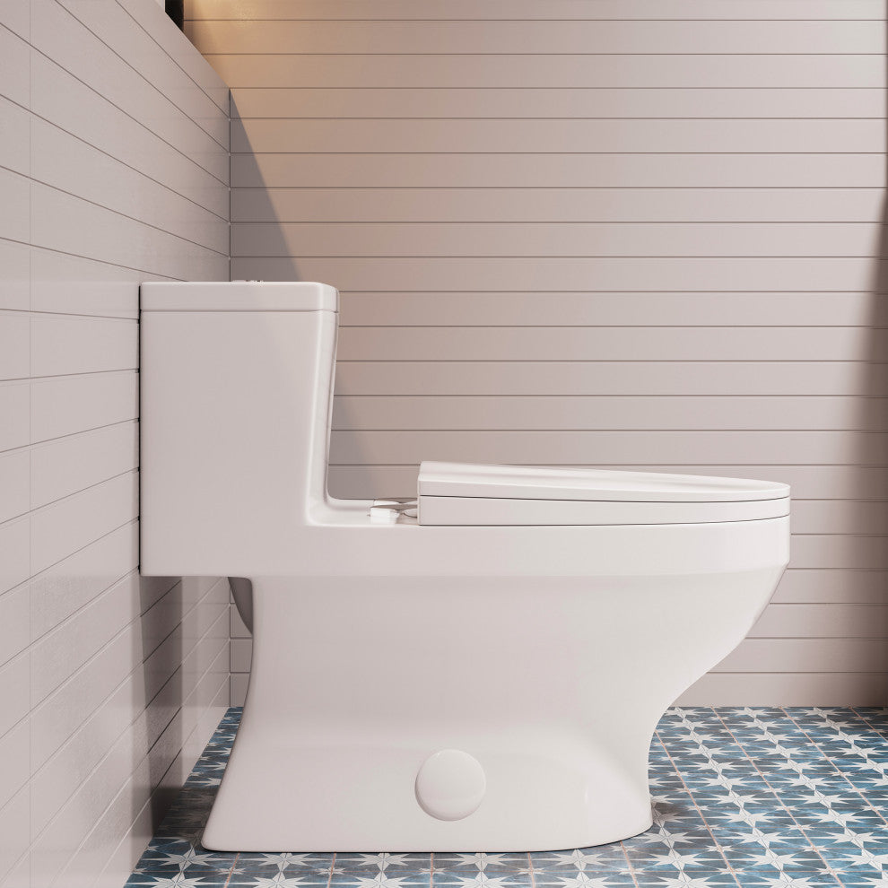 Clichy One-Piece Elongated Toilet Dual-Flush 1.1/1.6 gpf