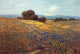 Granville Redmond Poppies and Lupines Wall Decal