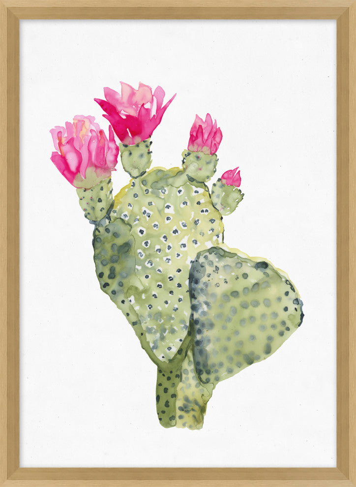 Pink Blooming Cacti 5