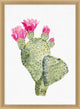 Pink Blooming Cacti 5