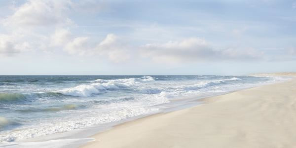 "Hamptons II" Painting Print on Wrapped Canvas, 24"x12"