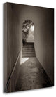 "Banc De Jardin - 78" By Alan Blaustein, Giclee Print on Gallery Wrap Canvas