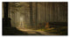 Jan Paul Kraaij 'A Forest Walk' Canvas Art, 19x10