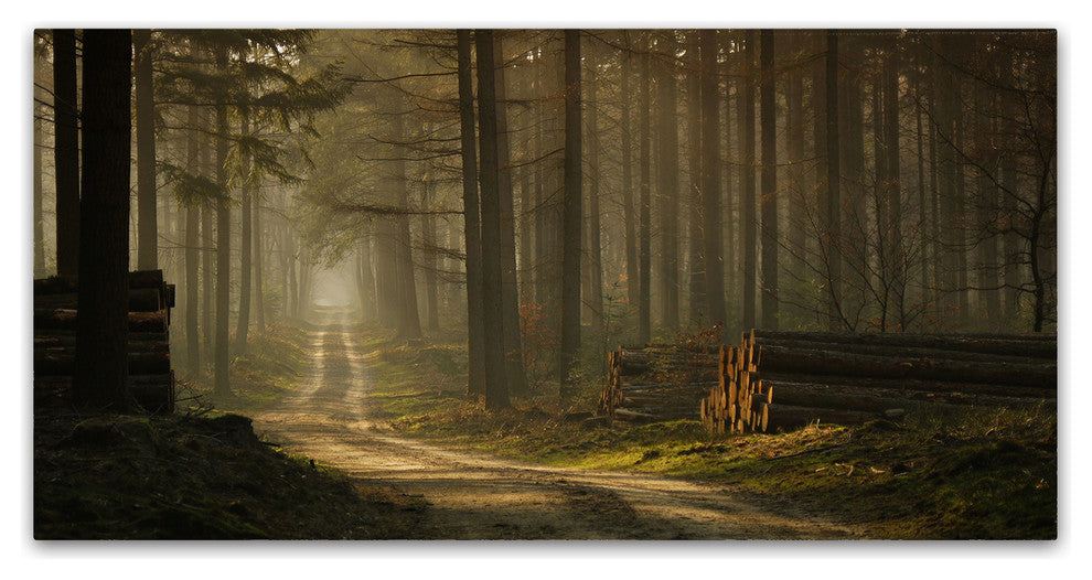 Jan Paul Kraaij 'A Forest Walk' Canvas Art, 19x10