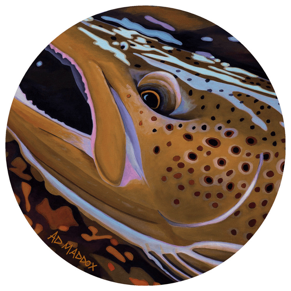 AD Maddox Rise, Multi, 8' Round