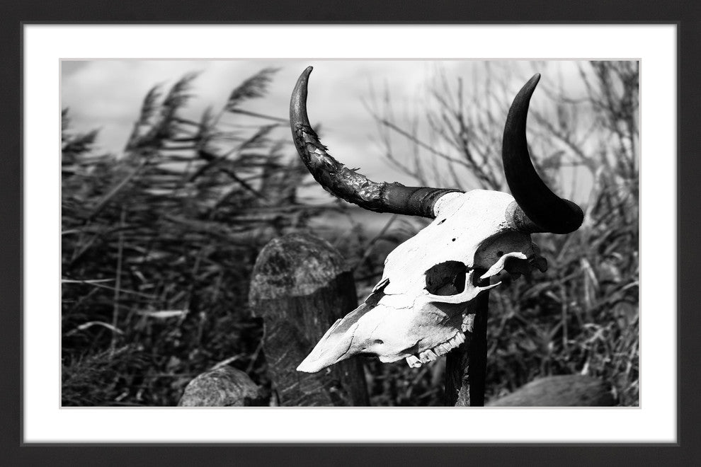 Marmont Hill, "Skull in the Grass" Framed Painting Print, 36x24