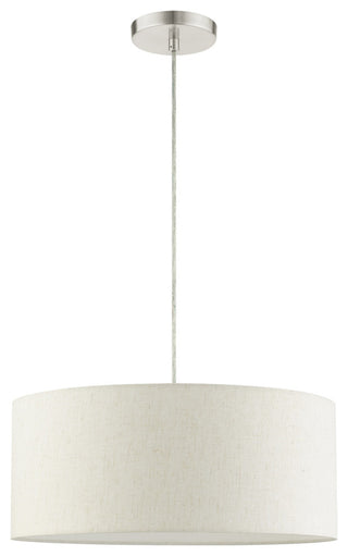 Brushed Nickel Casual, Transitional, Versatile, Minimal Drum Pendant