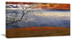 Beautiful Flower Field At Sunset, Extra Large Landscape Canvas Art, 32"x16"