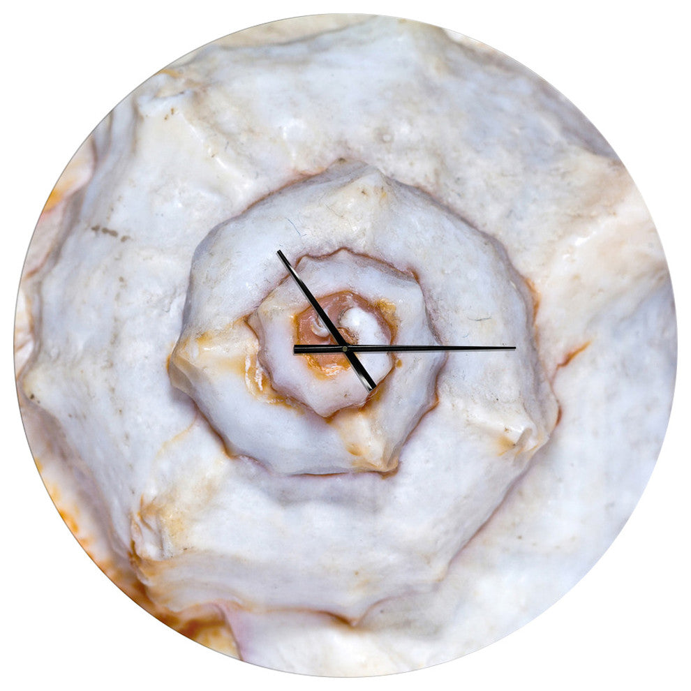 Great Skeleton of Sea Shell Oversized Coastal Metal Clock, 36x36