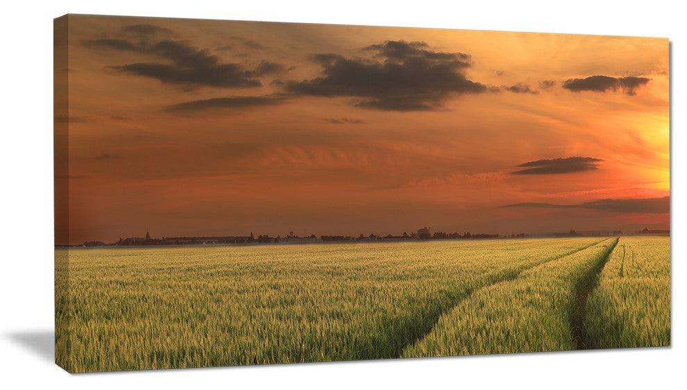 "Sunset Over A Field of Cereals" Extra Large Wall Art Landscape, 32"x16"