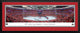 2015 Stanley Cup Champions, Chicago Blackhawks, Deluxe Frame