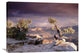 "South Rim, Grand Canyon National Park, Arizona" Artwork