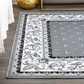 Acanthus French Border, Gray/Cream, 4'x6'