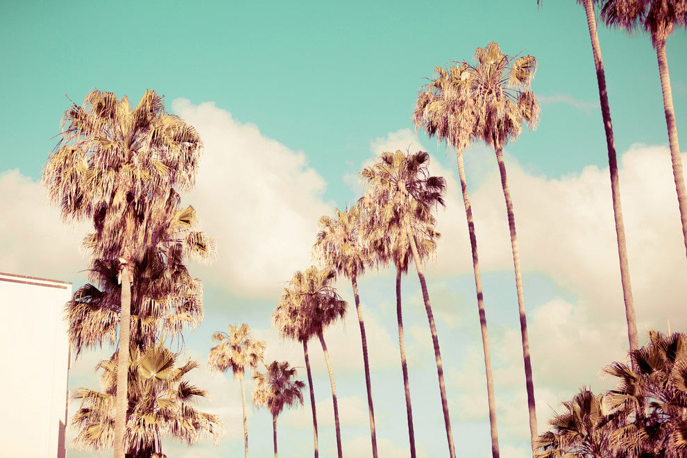 Marmont Hill, "Road to California" by Morgan Hartley on Wrapped Canvas, 60x40