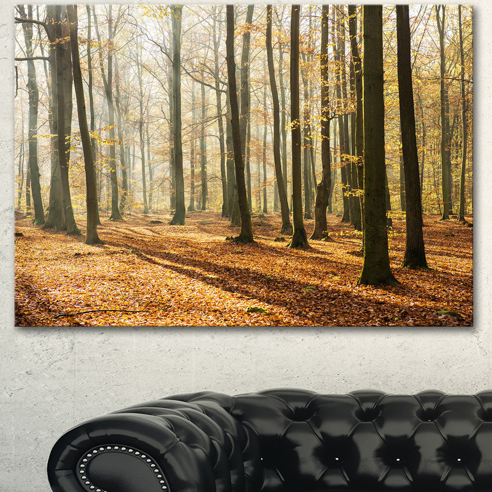 Bright Autumn Day in Thick Forest, Modern Forest Canvas Art, 40"x30"