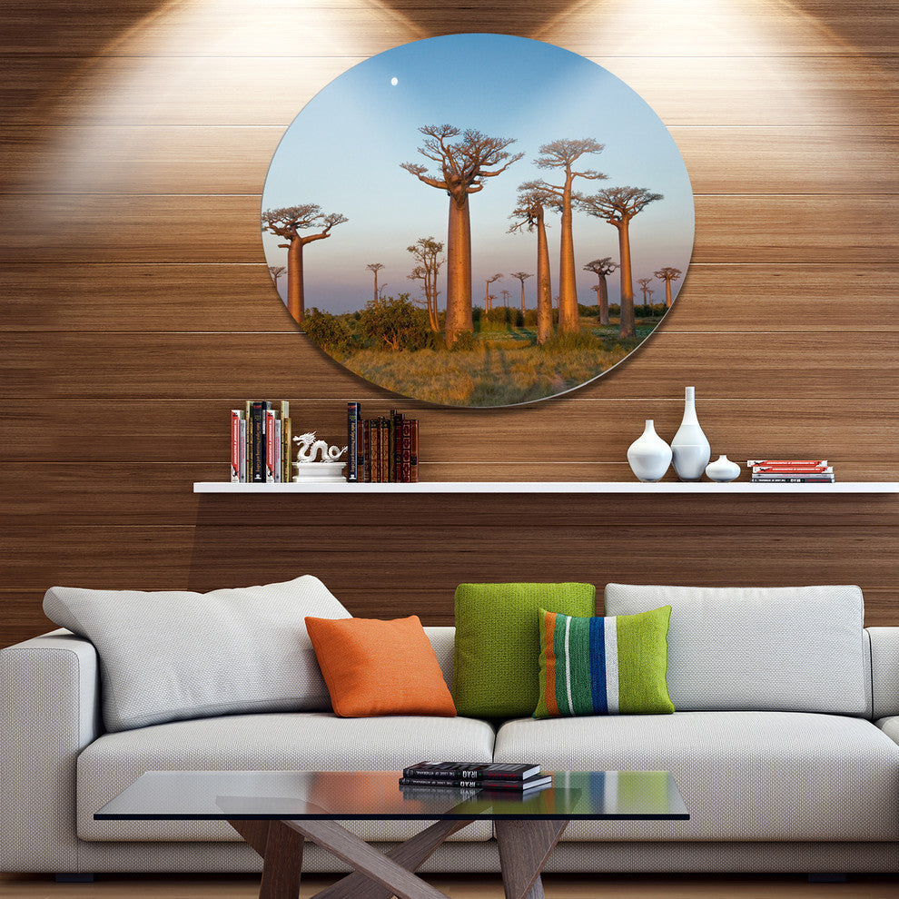 Field Of Boababs Under Clam Sky, African Landscape Round Wall Art, 36"