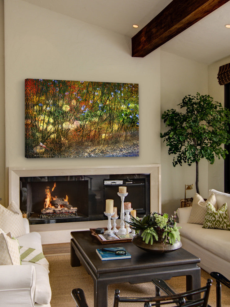 "Meadow Dragon Fly" Print on Canvas by Chris Vest