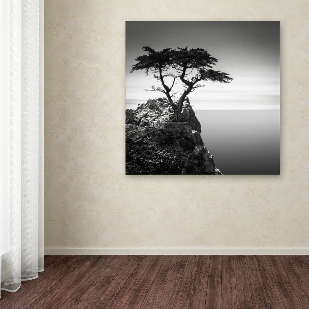 'The Lone Cypress' Canvas Art by Dave MacVicar