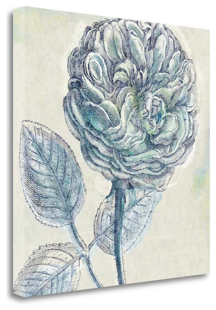 "Belle Fleur III" By Sue Schlabach, Giclee Print on Gallery Wrap Canvas