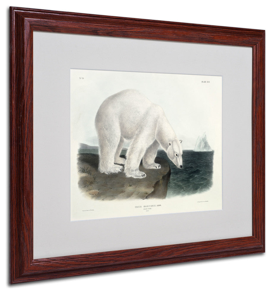'Ursus Maritimus Polar Bear' Matted Framed Canvas Art by John James Audubon