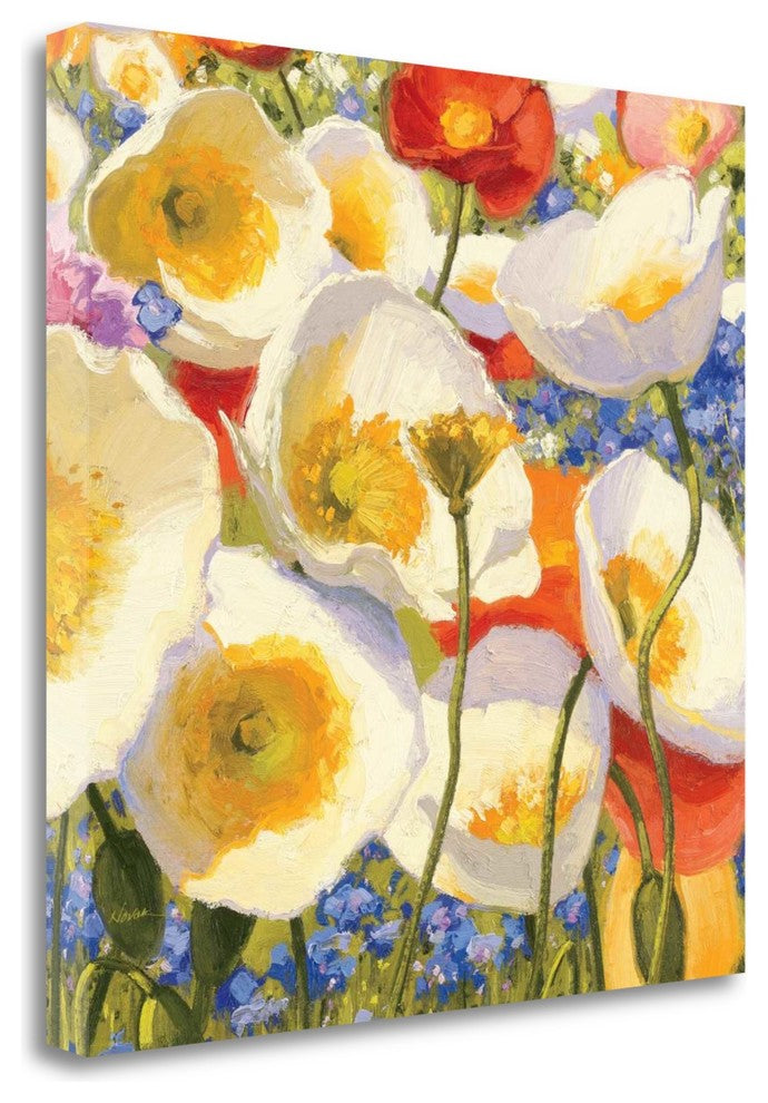 "Sunny Abundance III" By Shirley Novak, Giclee Print on Gallery Wrap Canvas