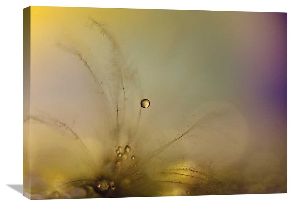 "Feeling Of A New Day" Stretched Canvas Giclee by Heidi Westum, 30x22"