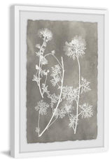 "Vintage Plant Study I" Framed Painting Print, 30"x45"