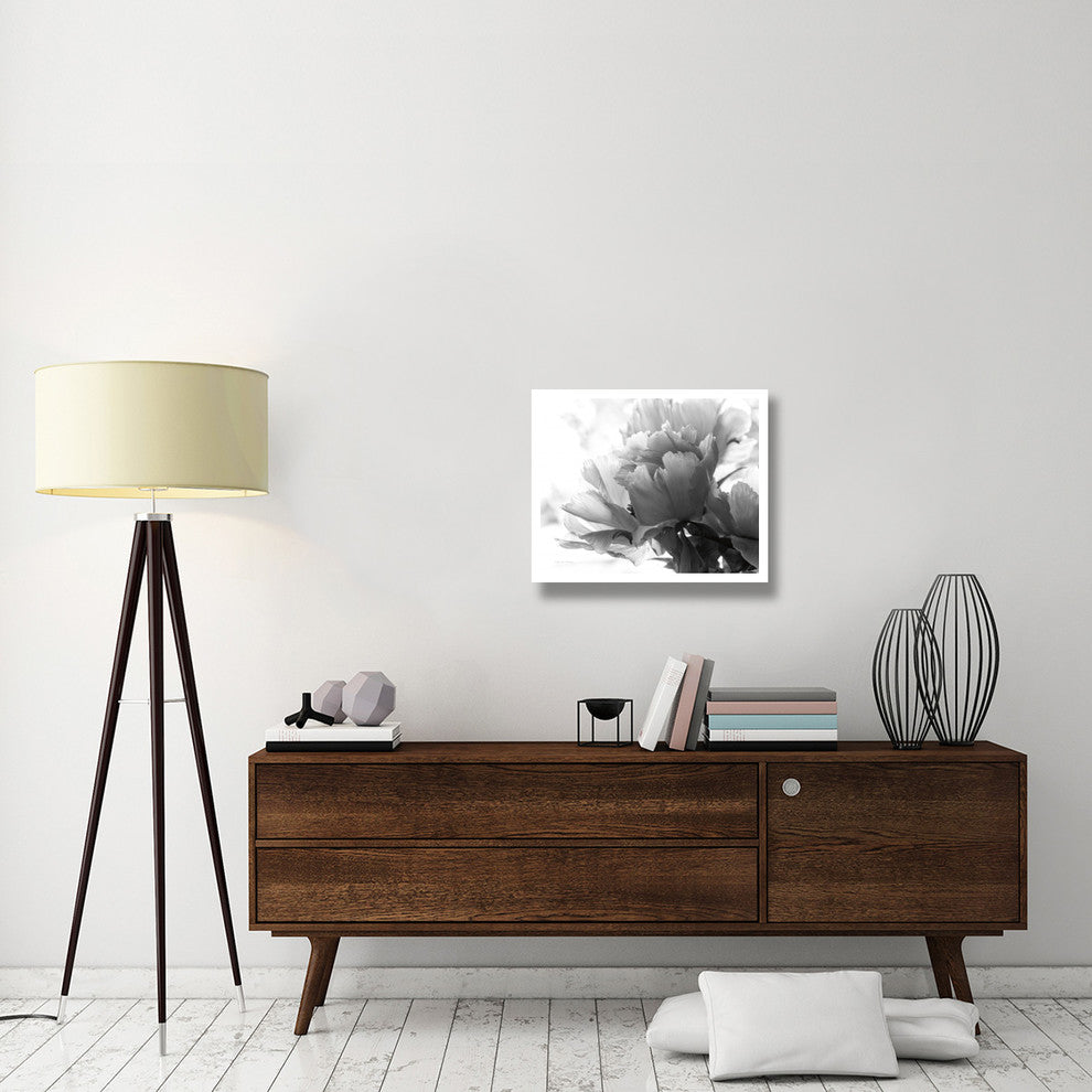"Translucent Peony I - BW" Digital Paper Print by Debra Van Swearingen, 26"x22"