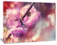 Beautiful Almond Tree Flowers, Floral Canvas Art Print, 40"x30"