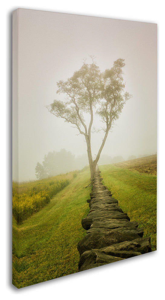 PIPA Fine Art 'Calming Morning' Canvas Art, 32x22