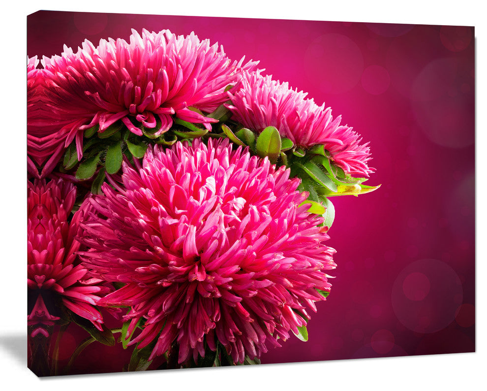 Pink Flowers of Asters on Red, Flowers Canvas Wall Artwork, 40"x30"