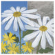 "Summer Garden II" Digital Paper Print by Kathrine Lovell, 32"x32"