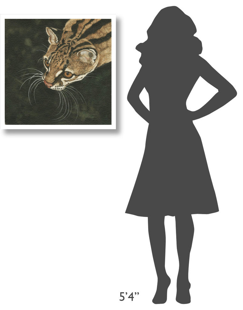 "The Margay" Digital Paper Print by Jacquie Vaux, 26"x26"